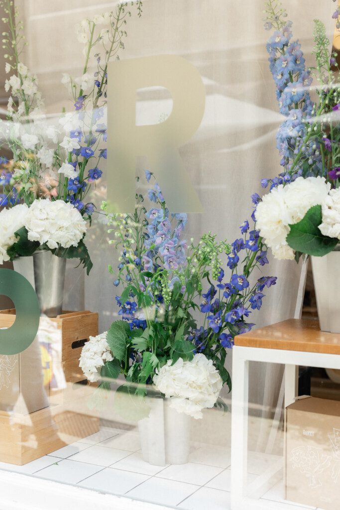 Spring window – delphiniums